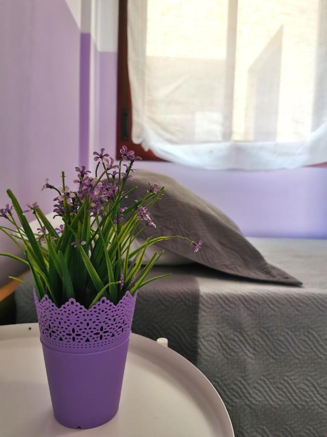 Anais Dreams&Relax Apartment Corralejo Ngoại thất bức ảnh